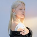 팔팔시스템 이미지