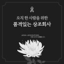 상조모아