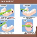 오즈어린이집 이미지