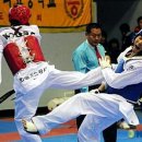 국가대표 엘리트 태권도장 이미지