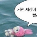 캔디콥스하우스
