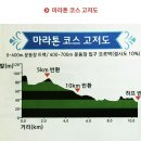 (구)공설운동장 앞 | 제 23회 고창 고인돌 마라톤 참가 후기(왕추천!!)