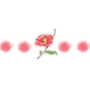 판도라노래