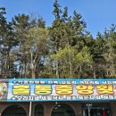 홀통중앙횟집 | 전남 무안군 현경면에 있는 홀통중앙횟집 후기