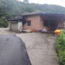 전원사슴농장 이미지