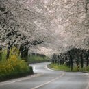 문척면사무소 이미지