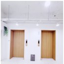 마루 스테이 이미지