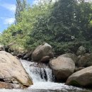 새밭 | 단양 새밭계곡 여름휴가ㅣ주차, 수질, 수심 팁 정리