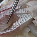 공주상회 | 노량진 공주상회 광참우회 내돈내산 솔직후기