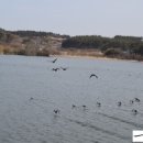 마룡농장 이미지