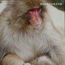 여성M파크 산후조리원 | 대구산후조리원 여성M파크산후조리원 용산역 근처 편리한 위치