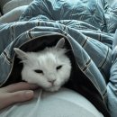 남동대로3L | [아인병원 유도분만] 40주 6일 유도 분만 20시간 진통, 응급 제왕 엔딩...! 하하하(아무도 안 알려줬던...