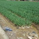 남지부동산 이미지