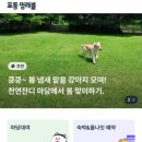 막둥이네마당