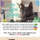 나만 없어 고양이 이미지