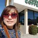 뱅뱅하우스 민박 | [20151018 - 20151101] 미국 서부 여행기(6) _ 트렉 아메리카(허클베리핀) 골드러시 투어 후기