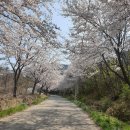 홍성 오서산공영주차장 이미지