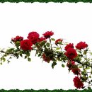 성동노인복지관 이미지