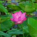 화개마을 이미지