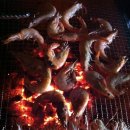 다솔마루 이미지