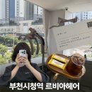 헤어살롱소라 | 부천 머리 잘 하는 곳 부천시청역 미용실 르비아헤어 봄소프트 밀크브라운 염색