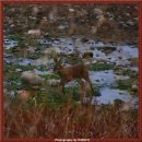 위례강변길 이미지