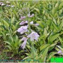 퇴계로1 이미지