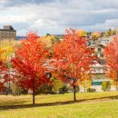 씨티렌터카 이미지