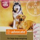 도담시청약국 이미지