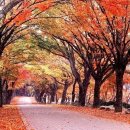 소요산 이미지