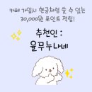 끌림푸드 | 대구 퀸벨호텔 웨딩 27년 예약 상담 후기 - 견적 공유