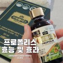실버 로얄제리 산골 양봉원 | 프로폴리스 효능 효과 및 부작용 실버로얄제리 산골 양봉원