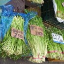 시내약국 이미지