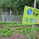 지용농장 이미지