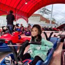 청도소싸움테마파크 | 청도 군파크 루지 테마파크 이용후기