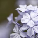 경희동의보감한의원 이미지