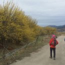 외산보건진료소 이미지