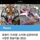 파티원 이미지