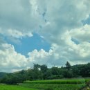 송화헌 | [경주 풀빌라 숙소] 송화헌 한옥 풀빌라 / 내돈내산