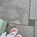 네스트홍천