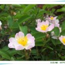 자연과아이들 이미지