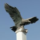 2020-주142 이미지