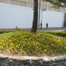 와동 주민센터 이미지