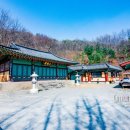 신덕저수지 일원 네이버블로그