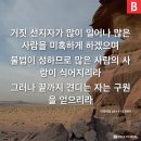 데살로니가후서 2:1 – 2:12 거짓에 미혹되지 않고 진리에 거하는 삶 / 이미지 이미지