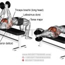 jkj 헬스 이미지