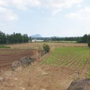 산양리 복지회관 이미지