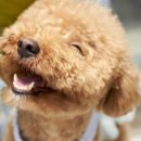 주안동물병원 이미지