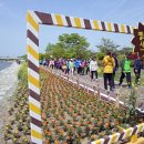 황룡강변 이미지