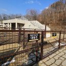 강아지테마파크 이미지